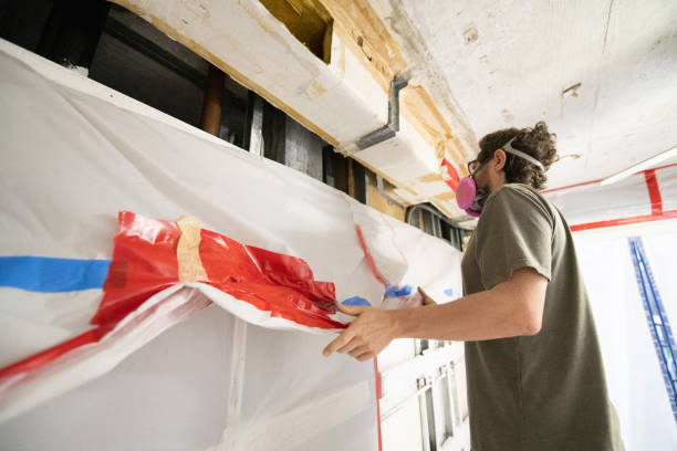 Best Mold Damage Restoration  in Mcdonough, GA